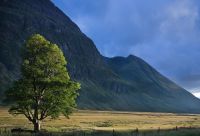 b_200_150_16777215_0_0_images_stories_fotos_BaumdesMonats_DSC_0515Bearbklein.jpg