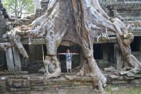 b_200_150_16777215_0_0_images_stories_fotos_BaumdesMonats_ThailandPreahKhan04.jpg