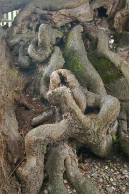 2009_UpystedtLinde3