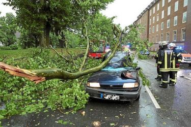 Unfaelle-ueberflutete-Strassen-und-entwurzelte-Baeume-Unwetter-trifft-Muenster-mit-voller-Wucht-ueber-480-Notrufe_image_630_420f_wn.jpg