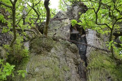 2012-UK-Bowthorpe-DSC_8059