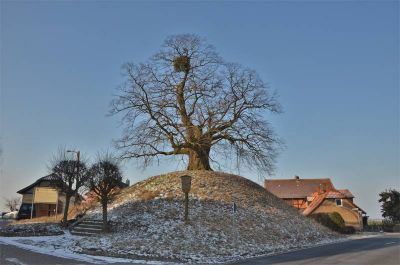 2012_NI-Evessen2
