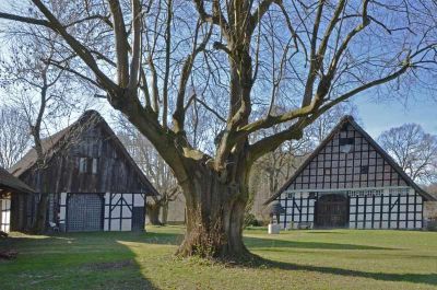 2013-NRW-ST-Leeden-Tanzlinde-Hof-114grad