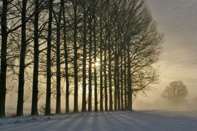 2010-1210 003Brocklinde2