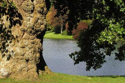 2013-UK-Stourhead-Borke2009 0905-228blank