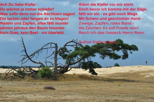 2012_kiefernspezi-gedicht