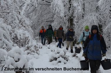 2011_1204 610