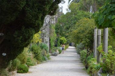 2011-HR-Trsteno-Arboretum