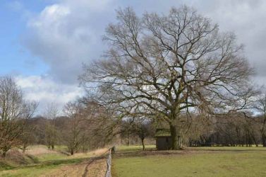 2012_NRW-MS-Eiche-Albers-0804-047