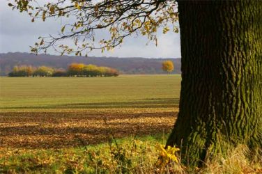 2007_1029-135
