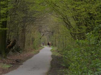 2005_punkt  3appelbreistiege500