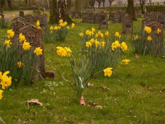 2005_spital-friedhofpunkt 5 a -500