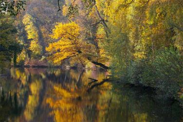2008_herbstschlossgraefte